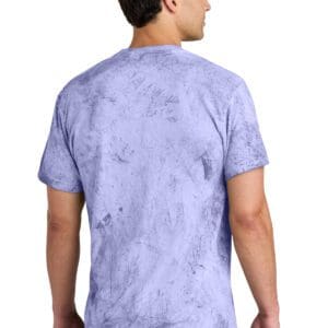 Alternative view of Comfort Colors Heavyweight Color Blast Tee 1745